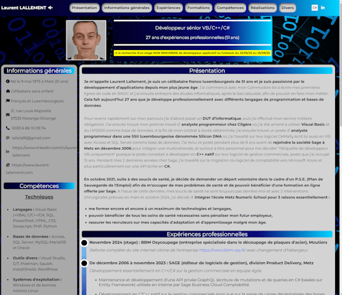 copie d'écran du portfolio de Laurent Lallement